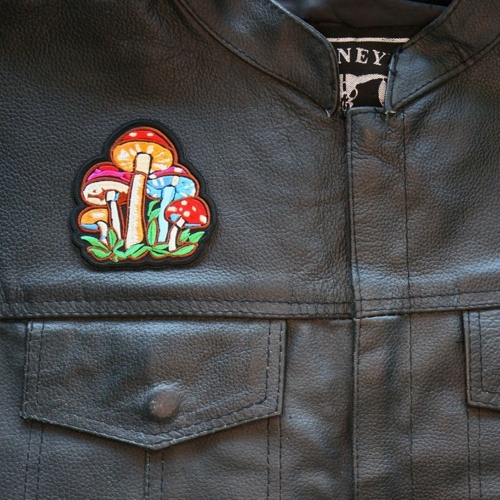 Magic Mushrooms Patch