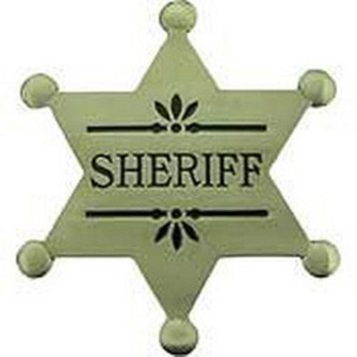 Eagle Emblems BDG PWT Sheriff Pin - 2.1/2 Inch