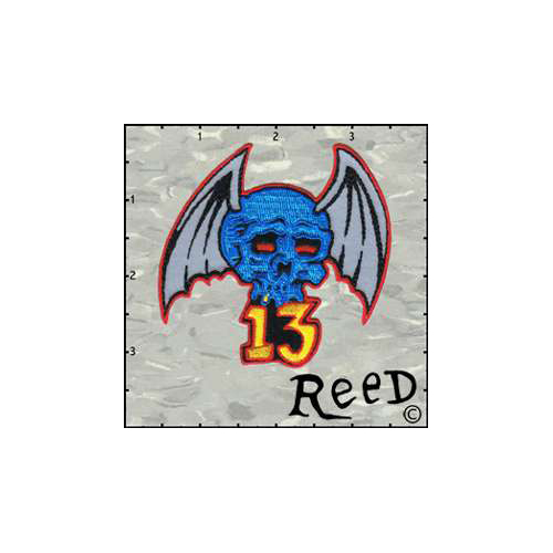 Reeds Skull Wings 13 Patch