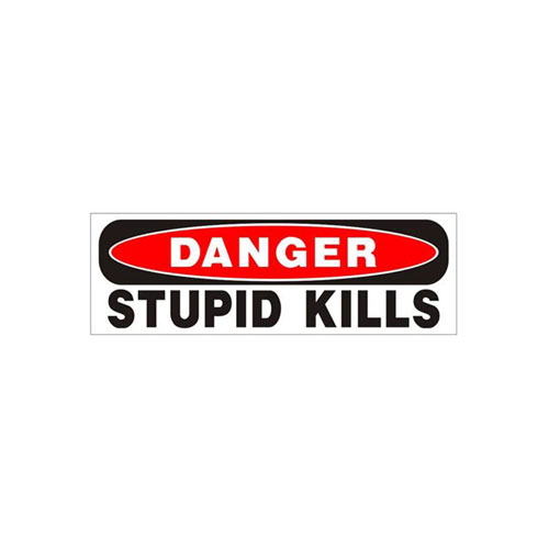 Danger Stupid Kills Bumper Sticker