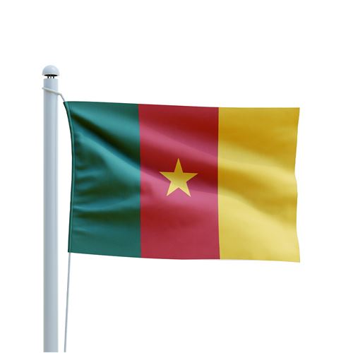 Cameroon Country Flag
