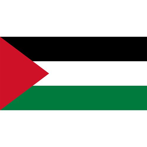 Palestine Country Flag