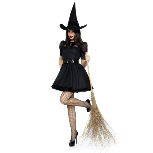 Bewitching Witch Costume