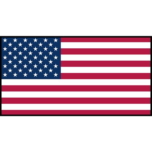 United States Flag Printed Patch