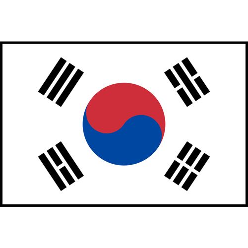 South Korea Flag Printed Patch
