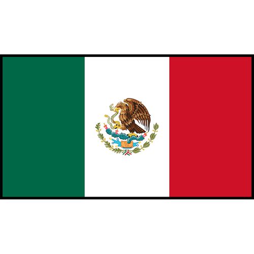Mexico Flag Printed Patch