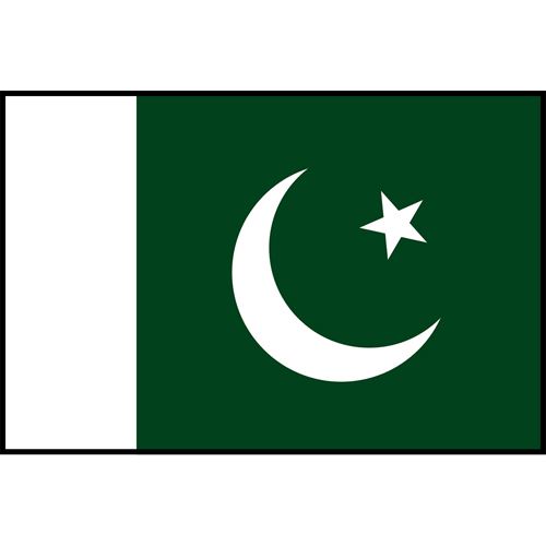 Pakistan Flag Printed Patch