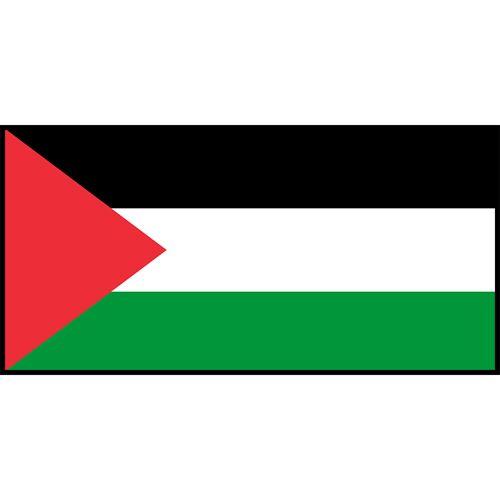 Palestine Flag Printed Patch
