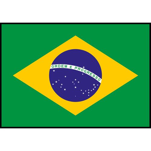 Brazil Flag Printed Patch