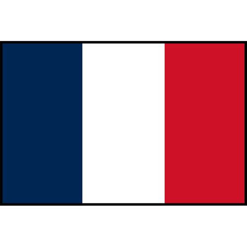 France Flag Printed Patch