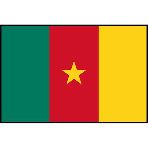 Cameroon Flag Printed Patch