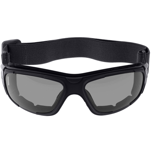 Interchangeable Optical System Goggles